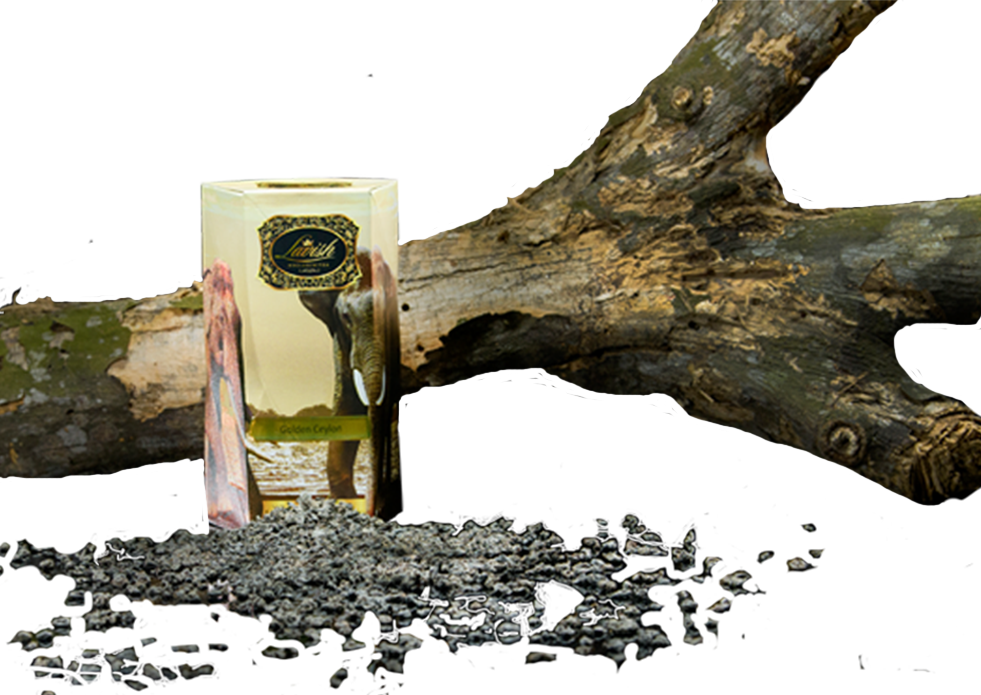 Chai Exotica